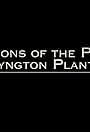 Visions of the Past: Wessyngton Plantation (2014)