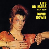 Primary photo for David Bowie: Life on Mars?