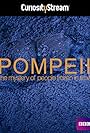 Pompeii: The Mystery of the People Frozen in Time (2013)