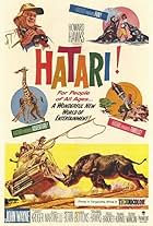 Hatari!