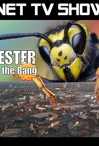 Primary photo for Manchester: The Night of the Bang