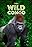 Wild Congo