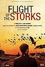 Flight of the Storks (2012)