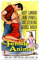 The Female Animal