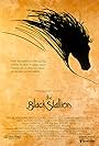 The Black Stallion