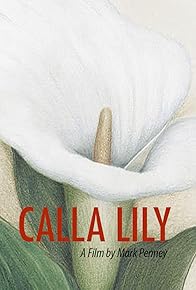 Primary photo for Calla Lily