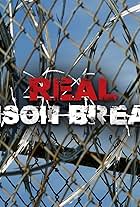 Real Prison Breaks