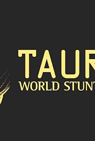 2004 Taurus World Stunt Awards (2004)