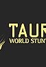 2004 Taurus World Stunt Awards (2004) Poster