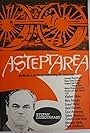 Stefan Ciubotarasu in Asteptarea (1971)