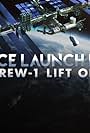 Space Launch Live: Crew-1 Lift Off (2020)