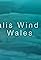 Alltwalis Wind Farm, Wales's primary photo