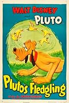 Pluto's Fledgling