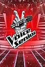 The Voice Senior Italy (2020)