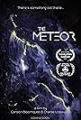 The Meteor (2018)