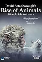 Rise of Animals: Triumph of the Vertebrates