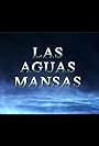 Las aguas mansas (1994)