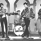 The Hollies