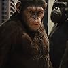 Karin Konoval, Richard Ridings, Andy Serkis, and Terry Notary in Rise of the Planet of the Apes (2011)