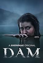 Dam