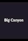 Big Canyon (1999)