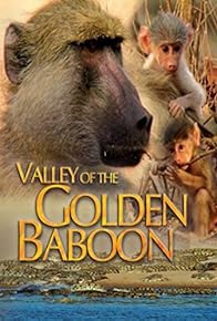 Primary photo for Valley of the Golden Baboon