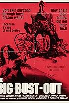 The Big Bust-Out (1972)