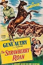 The Strawberry Roan