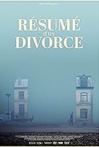 Résumé d'un divorce (2023)