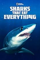 Sharks That Eat Everything