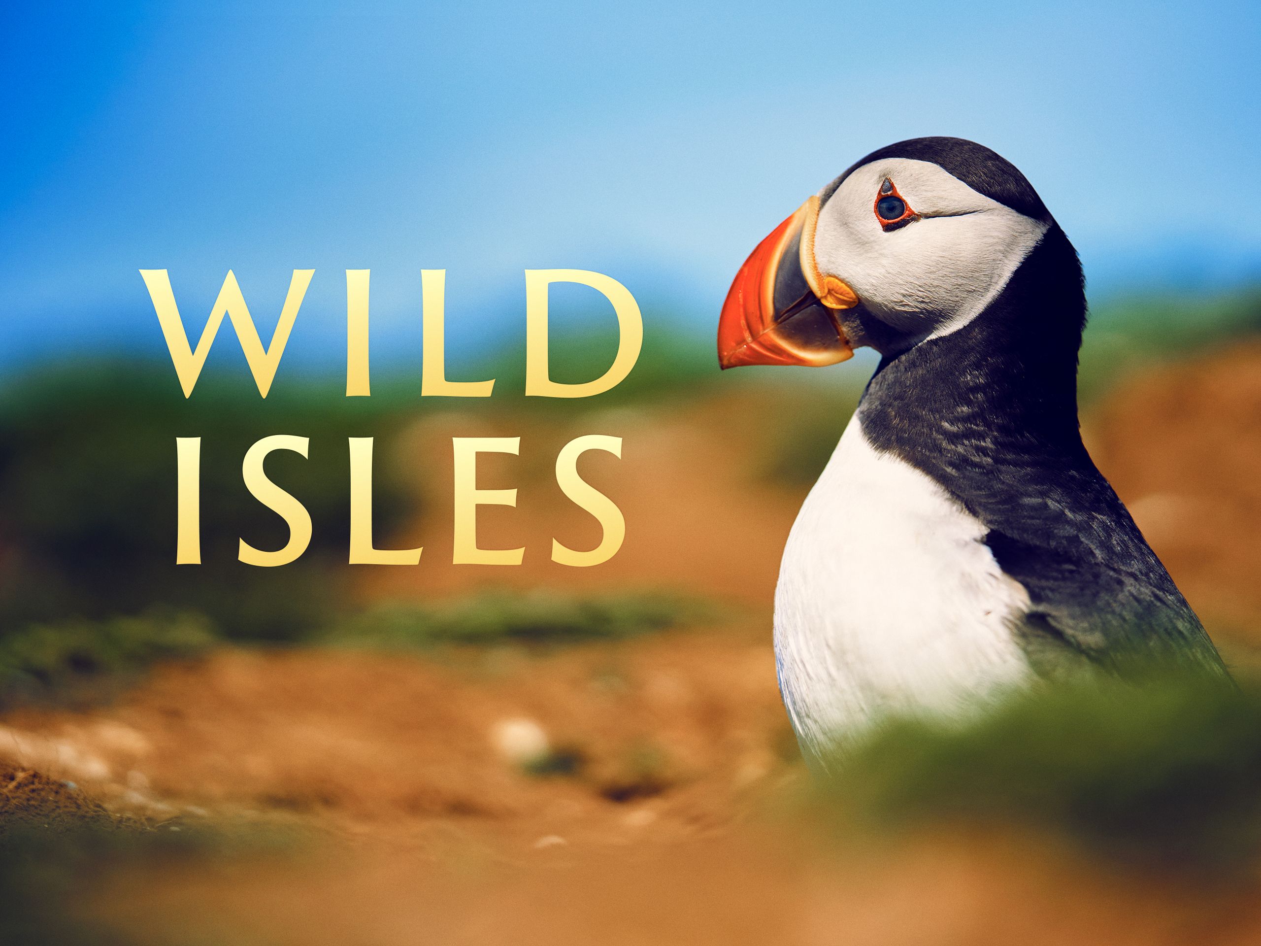 Wild Isles (2023)