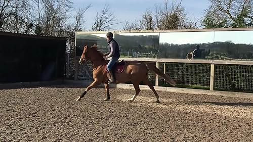 Horse Riding: Canter, Flying Changes, Jumping