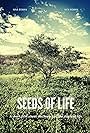 Seeds of Life (2020)