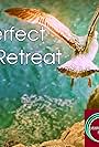 Perfect Retreat (2021)