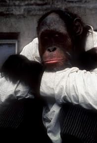 Primary photo for Locke the Orangutan