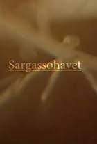 Sargassohavet (2017)