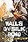 Walls on Silk Road