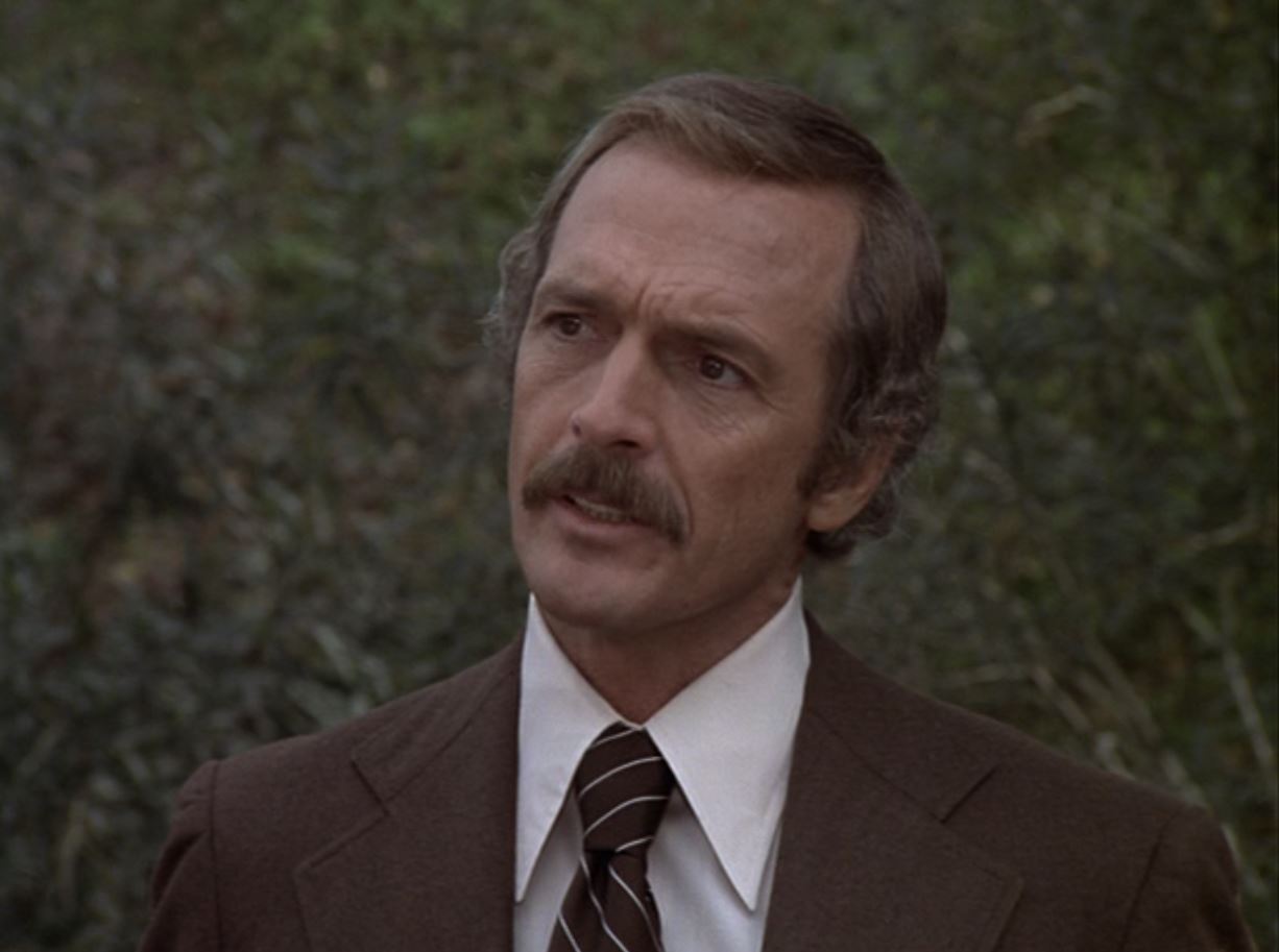 Jack Hogan in The Hardy Boys/Nancy Drew Mysteries (1977)