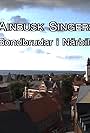 Ainbusk Singers - Bondbrudar i närbild (1990)