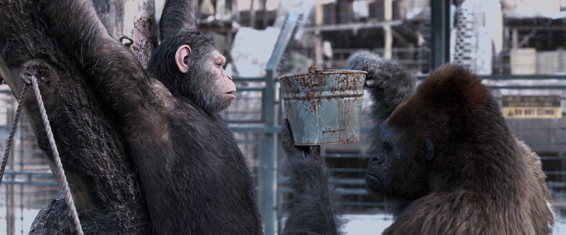 Ty Olsson and Andy Serkis in War for the Planet of the Apes (2017)