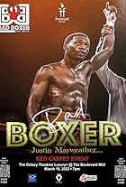 The Bad Boxer