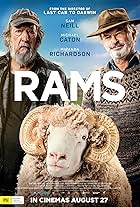 Rams