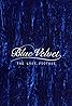 Blue Velvet Lost Footage (2014) Poster