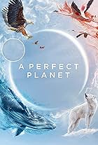 A Perfect Planet (2021)