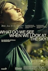 What Do We See When We Look at the Sky? (2021)