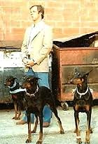 Alex and the Doberman Gang