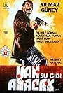 Kan Su Gibi Akacak (1969)