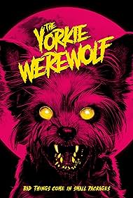 The Yorkie Werewolf