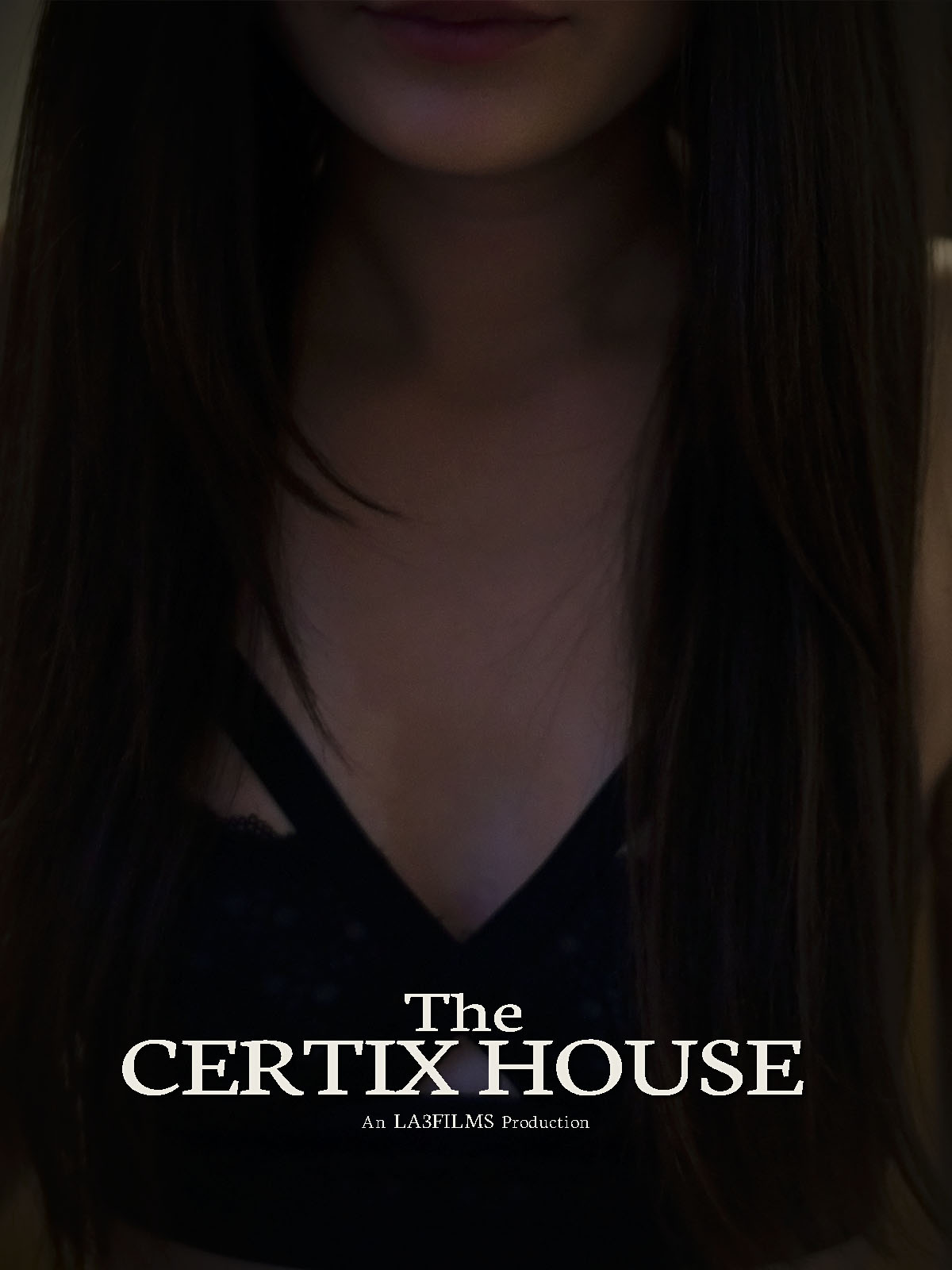 Iliana Tzikas in The Certix House (2020)