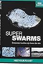 Swarm: Nature's Incredible Invasions (2009)